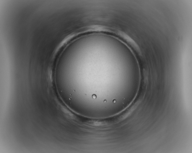 X0000115311318200911091129
