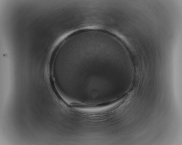 X0000115311319200911091129