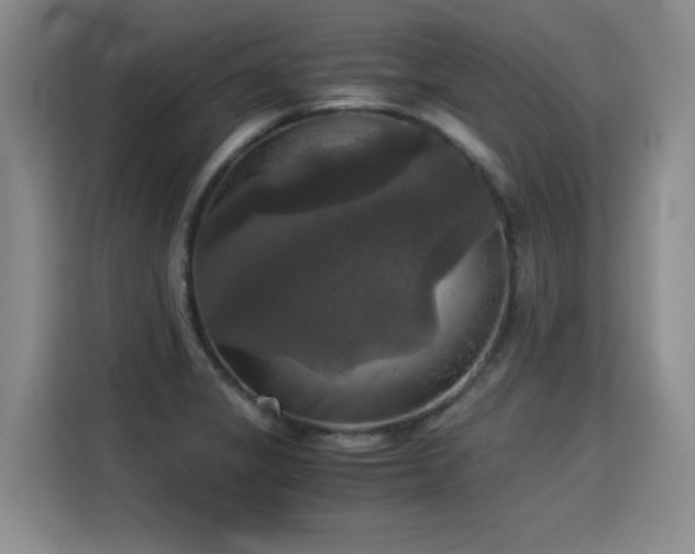 X0000115311325200911091129