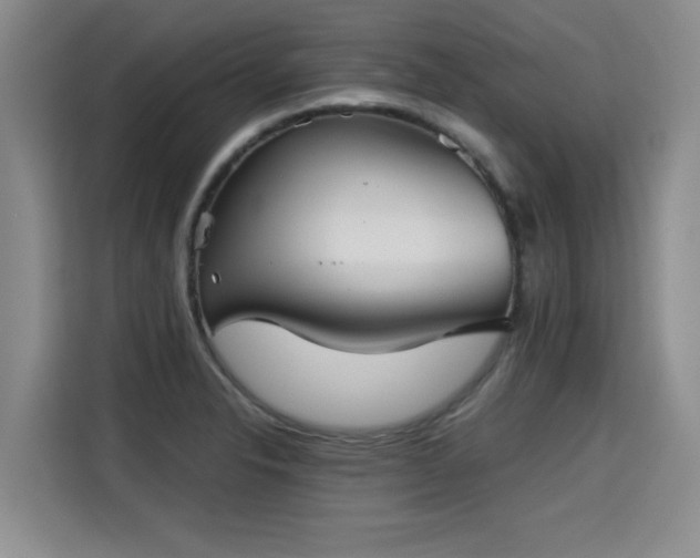 X0000115311326200911091129