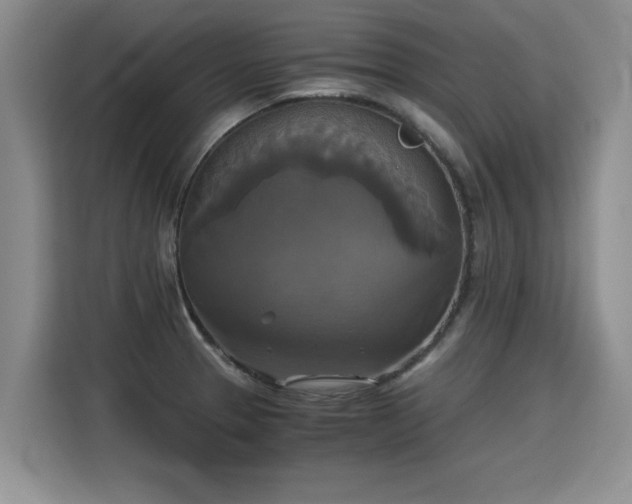 X0000115311329200911091129