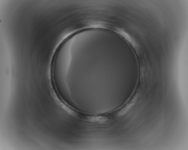 X0000115311331200911091129