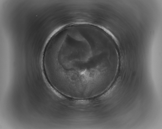 X0000115311333200911091129