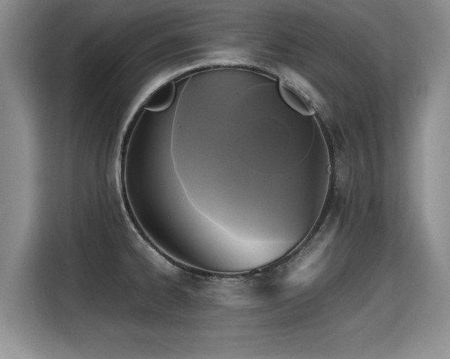 X0000115311334200911091129