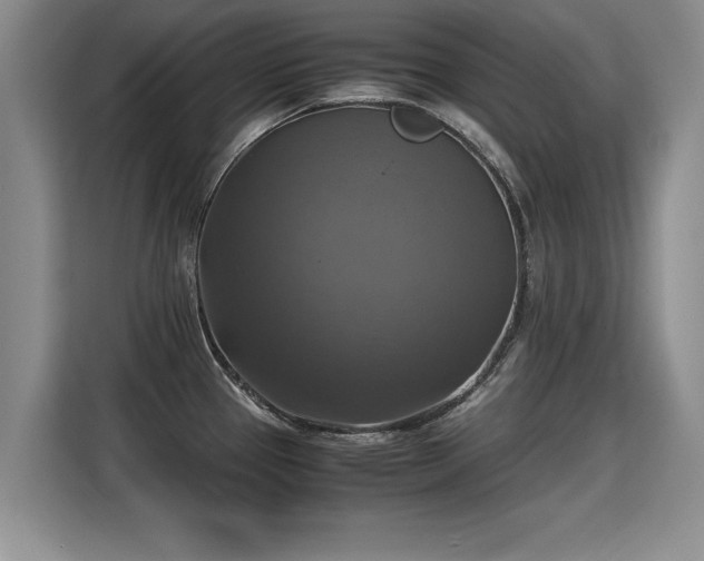 X0000115311337200911091129