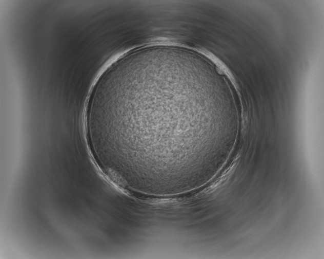 X0000115311341200911091129