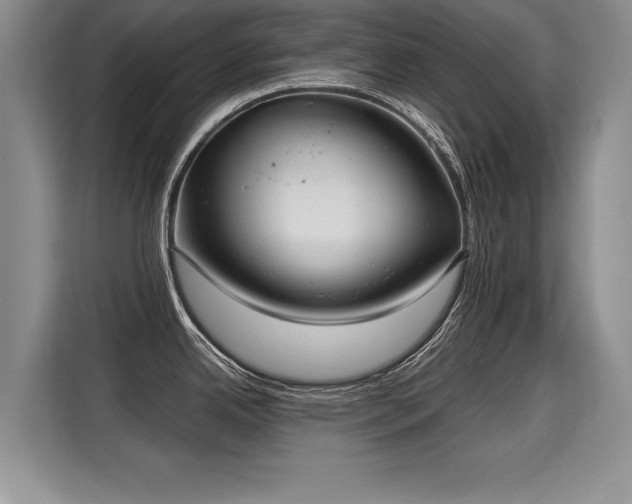X0000115311342200911091129