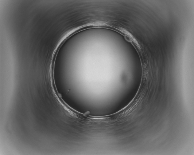 X0000115311343200911091129