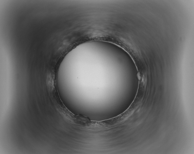 X0000115311348200911091128