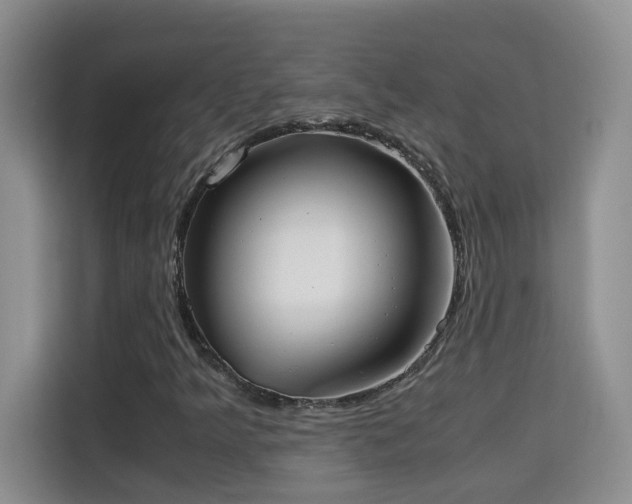 X0000115311349200911091128