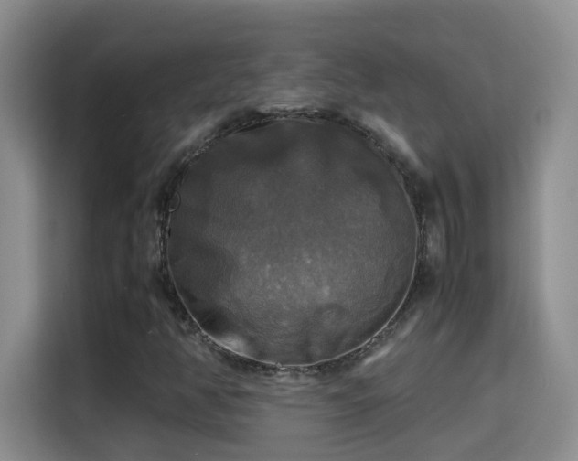X0000115311350200911091128