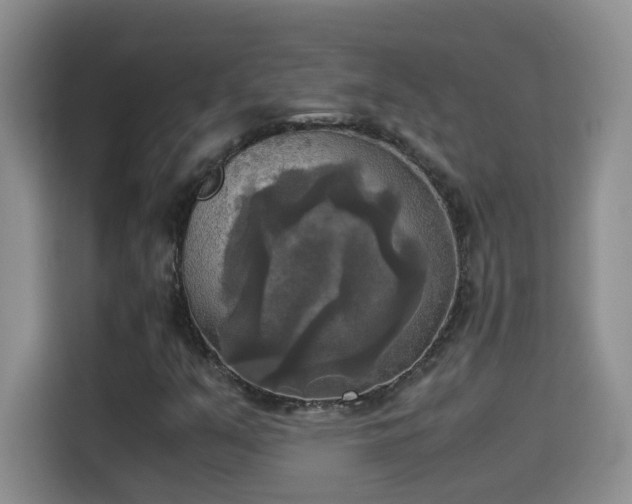 X0000115311351200911091128