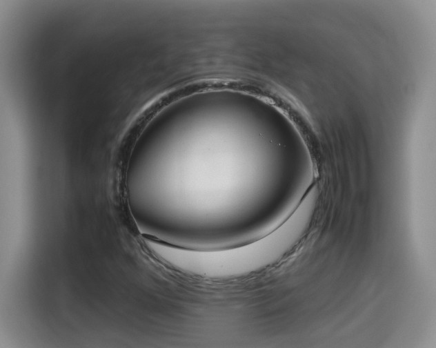 X0000115311352200911091128