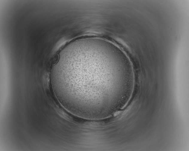 X0000115311355200911091128