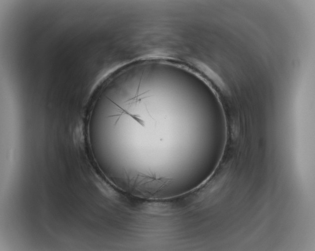 X0000115311356200911091128