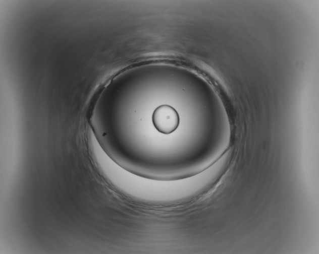 X0000115311357200911091128