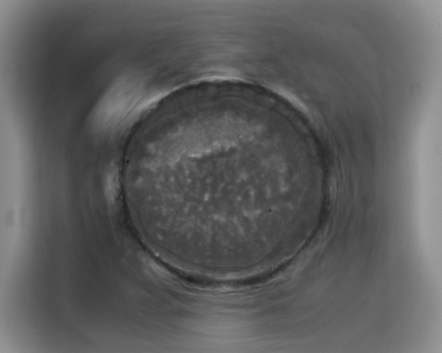 X0000115311359200911091128