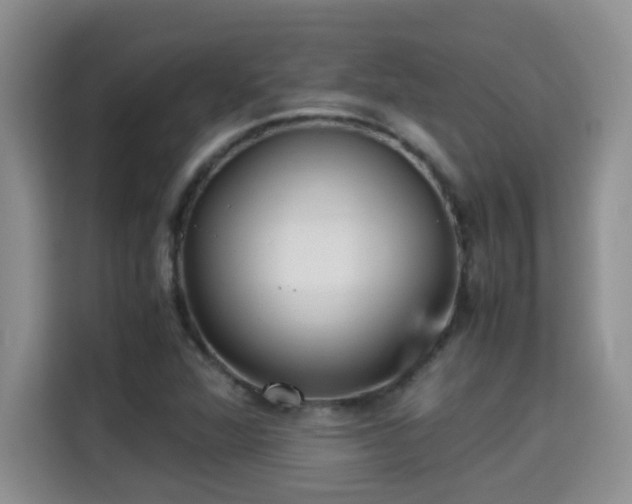 X0000115311360200911091128