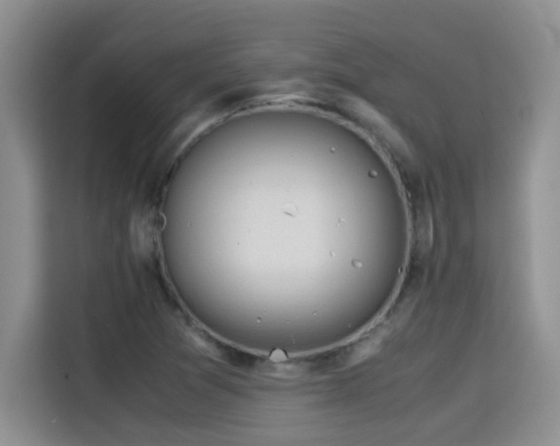 X0000115311361200911091128