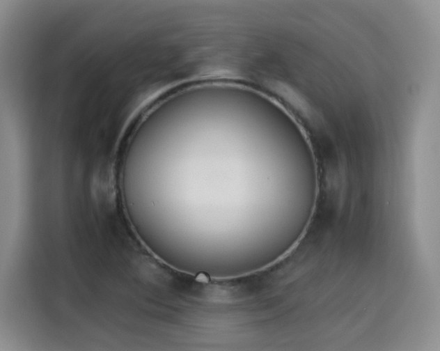 X0000115311364200911091128