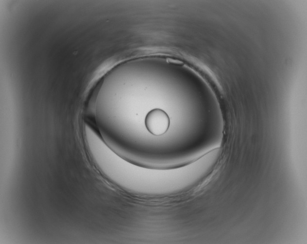 X0000115311365200911091128