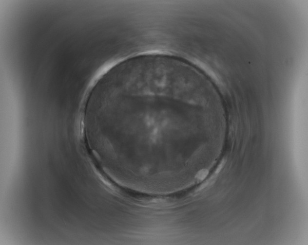 X0000115311367200911091128