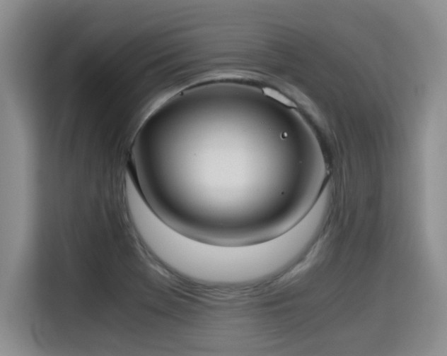 X0000115311369200911091128