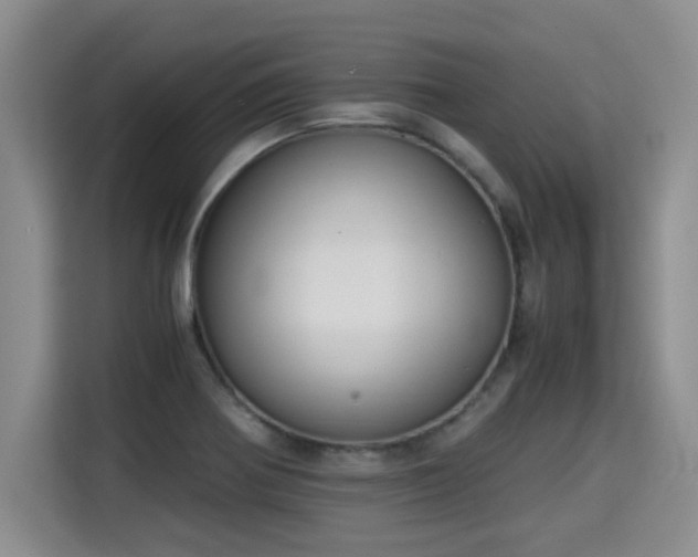 X0000115311370200911091128