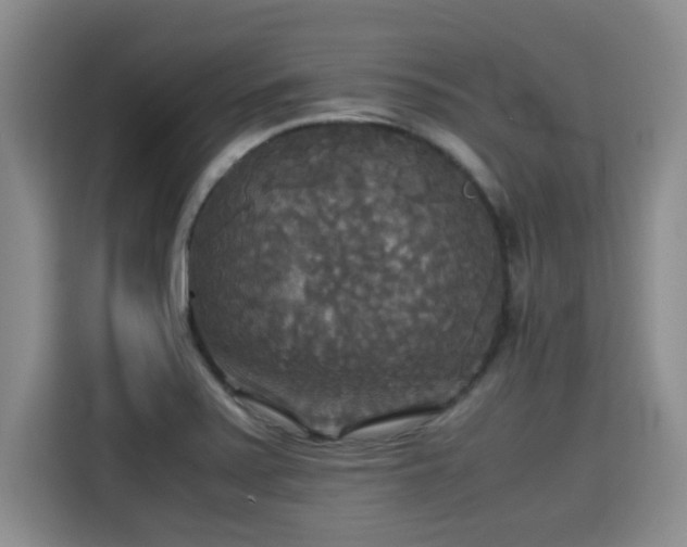 X0000115311371200911091128