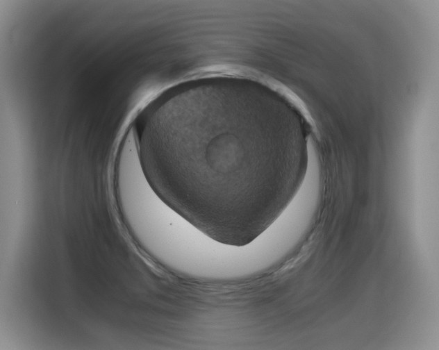 X0000115311373200911091128