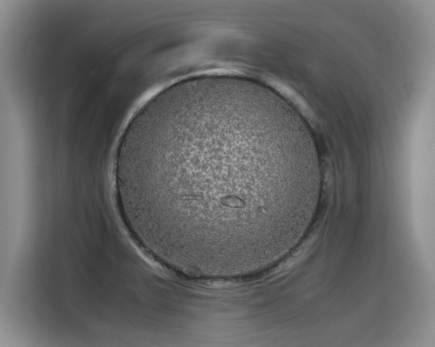 X0000115311375200911091128