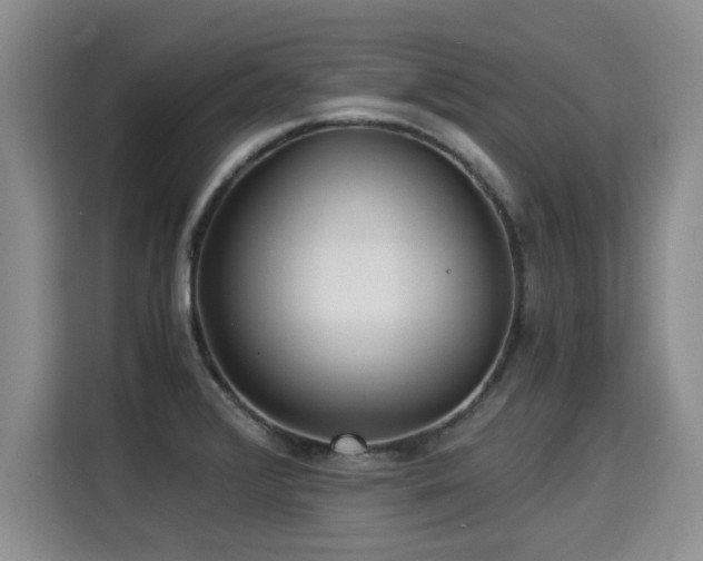 X0000115311376200911091128