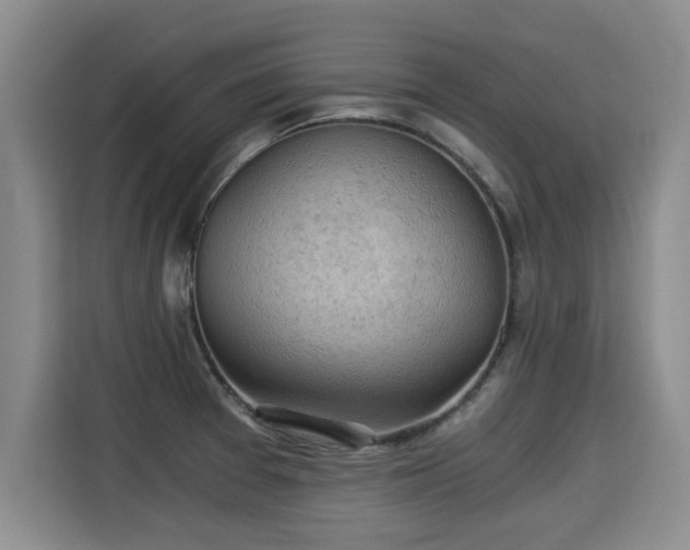 X0000115311377200911091128