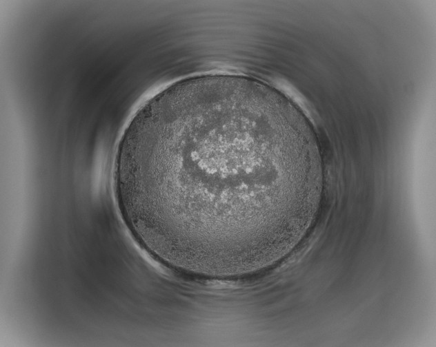 X0000115311379200911091128