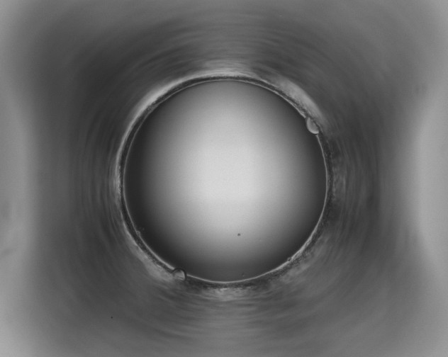 X0000115311380200911091128