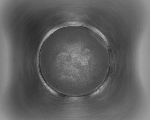 X0000115311381200911091128