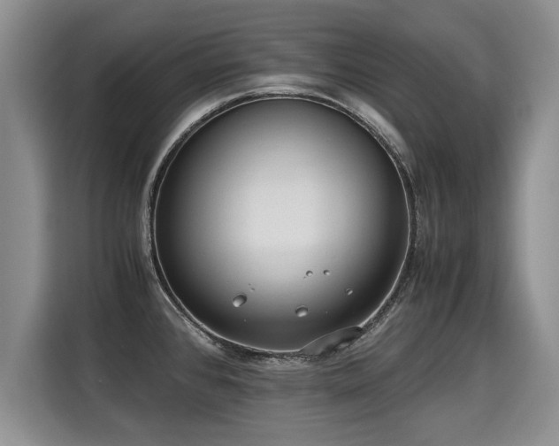 X0000115311384200911091128