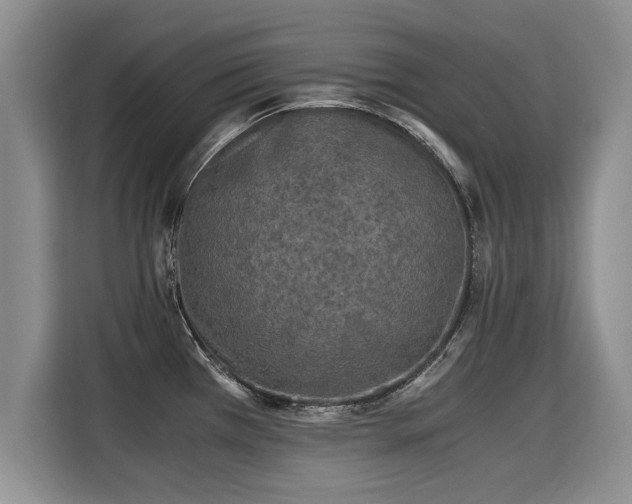 X0000115311385200911091128