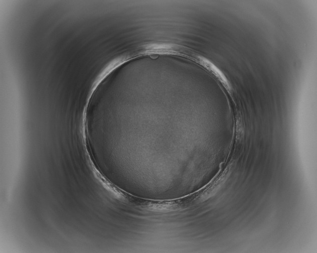 X0000115311386200911091128