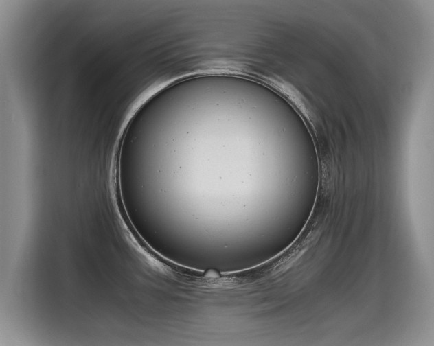 X0000115311387200911091128