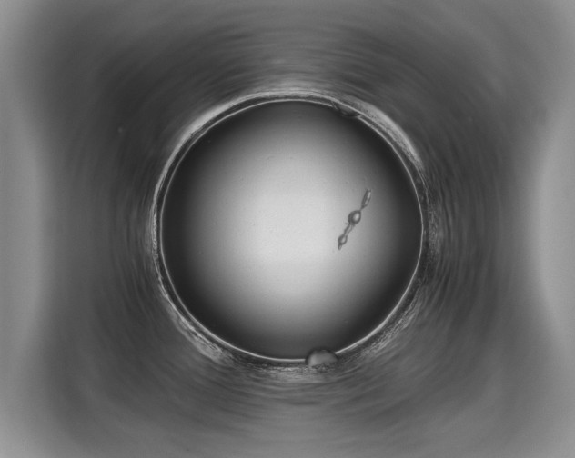 X0000115311388200911091128