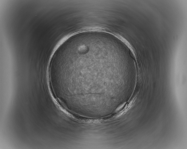 X0000115311389200911091128