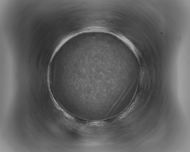 X0000115311390200911091128