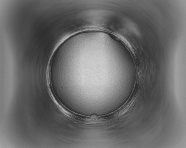 X0000115311391200911091128
