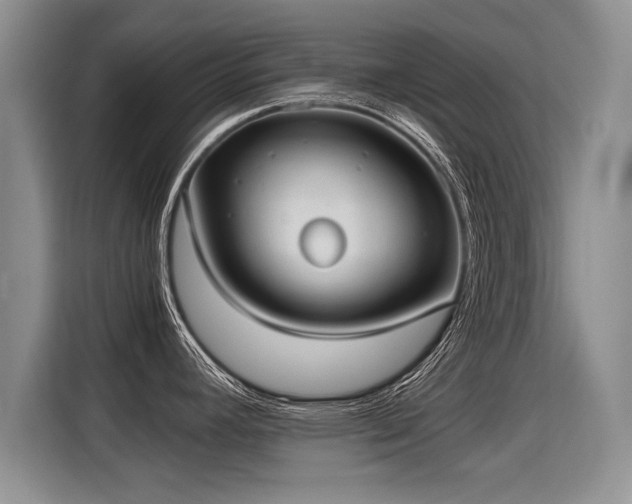 X0000115311392200911091128