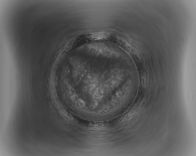 X0000115311393200911091127