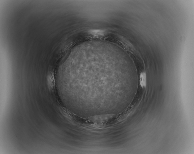 X0000115311395200911091127