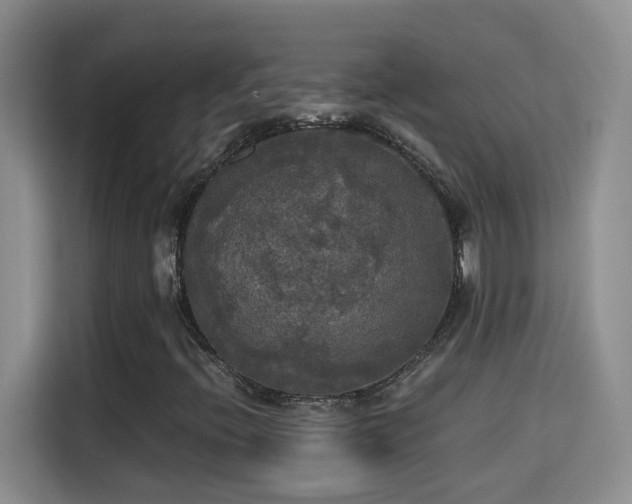 X0000115311396200911091127