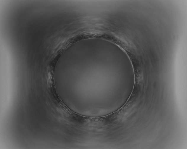 X0000115311397200911091127