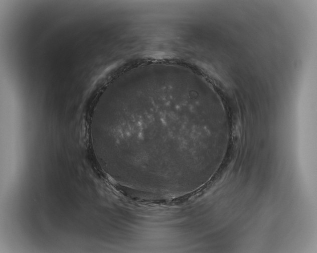 X0000115311398200911091127